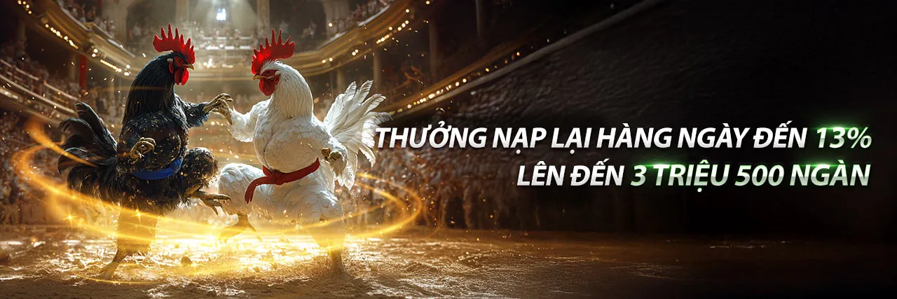 Đá Gà Trực Tuyến vf88 nổ hũ
