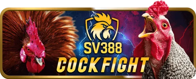 Đá Gà Trực Tuyến tại VF88 Nổ Hũ